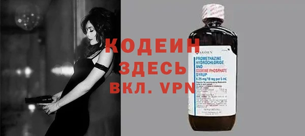 первитин Гусев