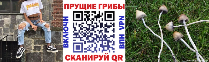 Галлюциногенные грибы GOLDEN TEACHER  OMG ONION  Пермь  продажа наркотиков 